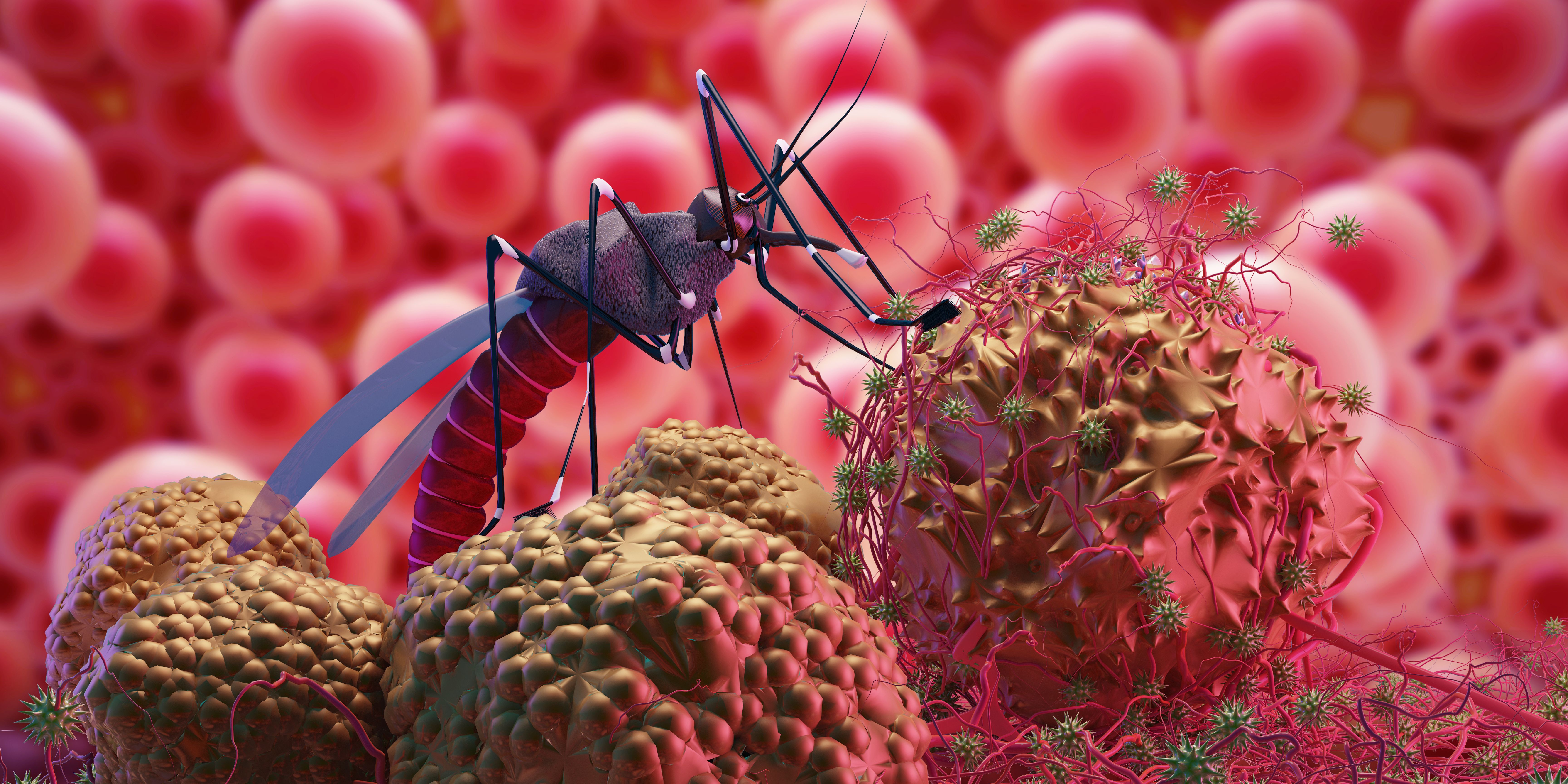 Mosquito with a malaria virus illustration